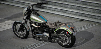 Varangian II | Acknod Motorcycles