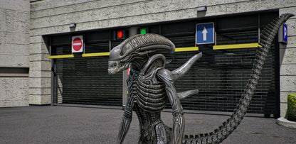 Xenomorph