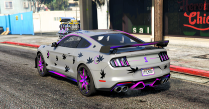 2020 Ford Mustang GT500 Dinamic RGB Lights | Potter