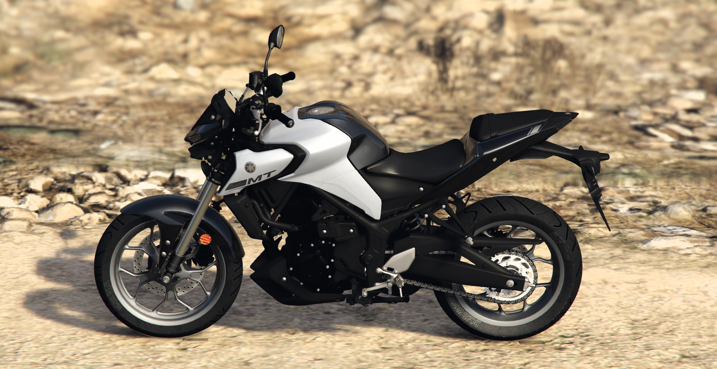 Yamaha MT-25 Phantom | Rogue