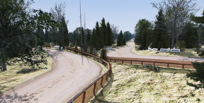 [MLO] Forrest Rally Track (Race)