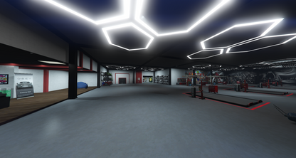 [MLO] DICAPRIO MOTORS (Mechanic)