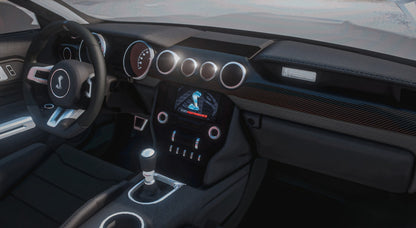 2018 Mustang Shelby GT350R | Underground Customs