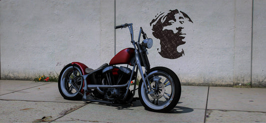 (Debadged LF) Western Spirit Chopper | DFX Customs